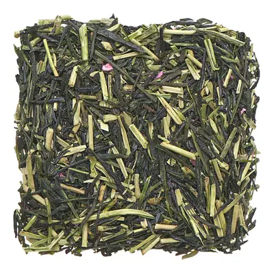 Sencha Sakura Miyazaki