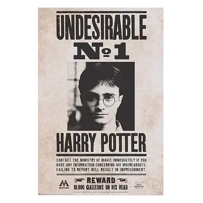 Plakát Harry Potter - Undesirable n°1