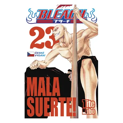 Bleach 23: Mala Suerte!