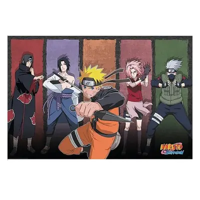 Plakát Naruto & Allies