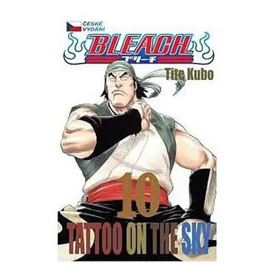 Bleach 10 - Tatoo on the sky