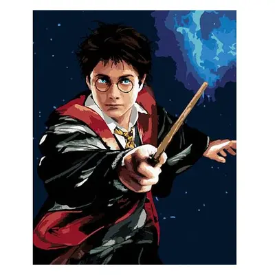 Malování podle čísel - Harry Potter a hůlka