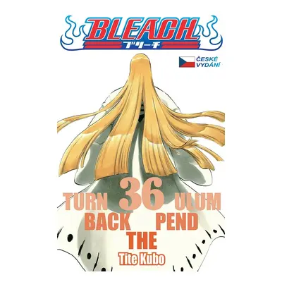 Bleach 36: Turn Back The Pendulum