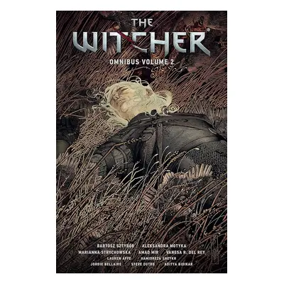 The Witcher Omnibus Volume 2