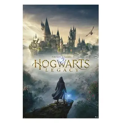 Plakát Hogwarts Legacy - Wizarding World Universe