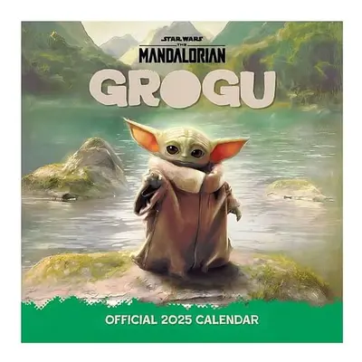 Poznámkový kalendář Star Wars - Grogu 2025