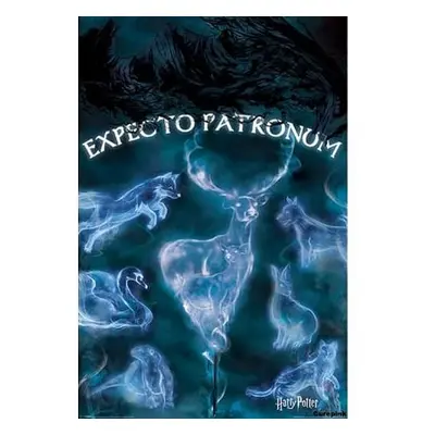 Plakát Harry Potter - Patronus