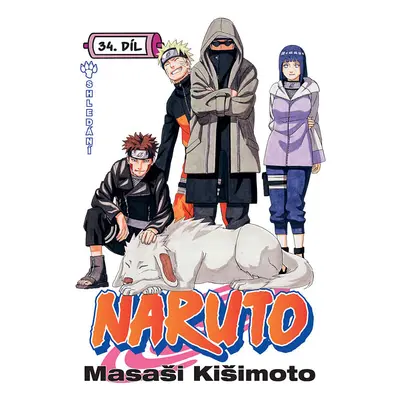 Naruto 34: Shledání