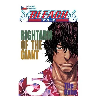 Bleach 5: Rightarm of the Giant