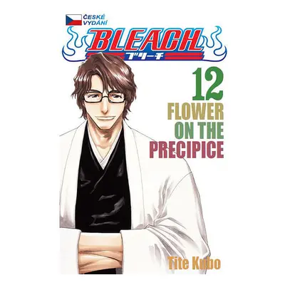 Bleach 12 - Flower on the Precipice