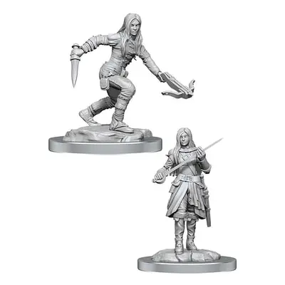 Dungeons & Dragons Nolzur s Marvelous Miniatures: Half-Elf Rogue Female