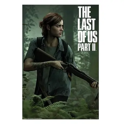 Plakát The Last of Us 2 - Ellie