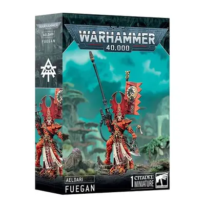 Warhammer 40000: Aeldari - Lord Fuegan