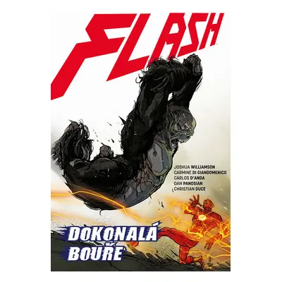 Flash 7: Dokonalá bouře