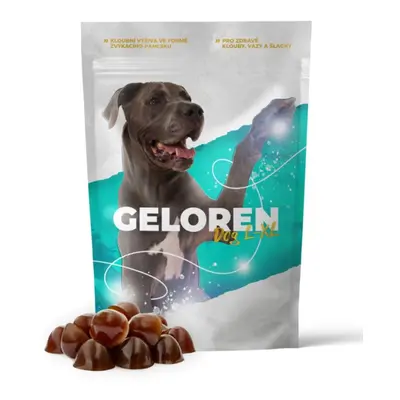 Geloren pro velké psy | Geloren DOG L-XL