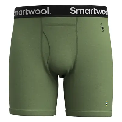 Smartwool M MERINO BOXER BRIEF BOXED fern green