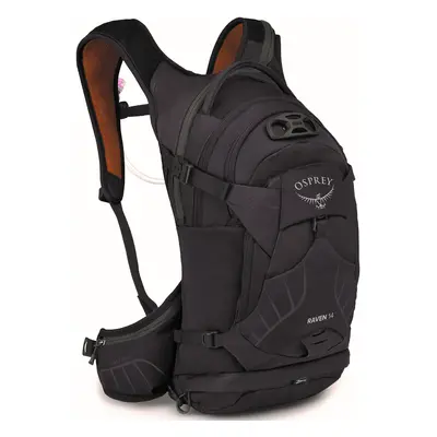 Osprey RAVEN 14 space travel grey