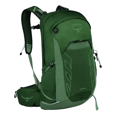 Osprey TALON 22 green canopy/pine leaf 810145591437