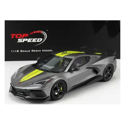 Truescale Chevrolet Corvette Stingray N 0 Imsa Gtlm Championship Edition 2020 1:18 Šedá Žlutá