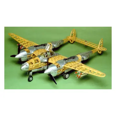 P-38 Lightning 1:16 (1016mm)