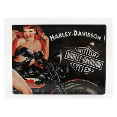 Edicola Accessories 3d Metal Plate - Harley Davidson American Classic Biker Babe 1:1