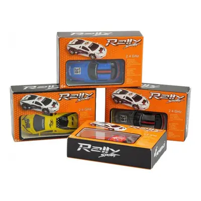 RC auto Mini Rally Sport Car M