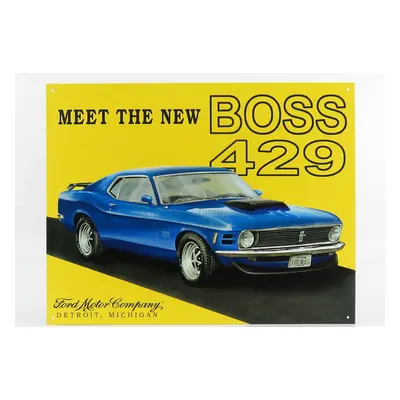 Edicola Accessories Metal Plate - Ford Mustang Boss 429 1:1 Žlutá Modrá