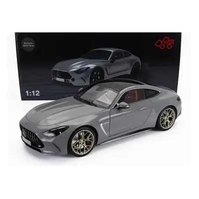 Nzg Mercedes benz Amg Gt63 V8 Biturbo (c192) 4-matic 2024 1:12 Alpin Grey