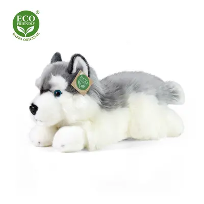 Rappa Plyšový pes husky ležící 30 cm