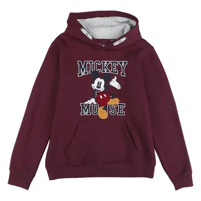 Mickey & Minnie Mouse Kids - Mickey detská mikina s kapucí vícebarevný