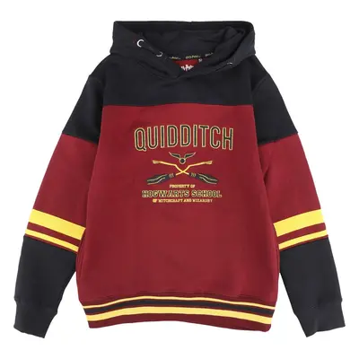 : Harry Potter Kids - Gryffindor - Hogwarts School detská mikina s kapucí vícebarevný