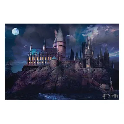 Harry Potter Hogwarts plakát vícebarevný