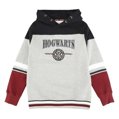 Harry Potter Kids - Hogwarts - England Made detská mikina s kapucí vícebarevný