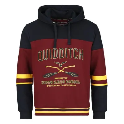 Harry Potter Gryffindor - Hogwarts School Mikina s kapucí vícebarevný