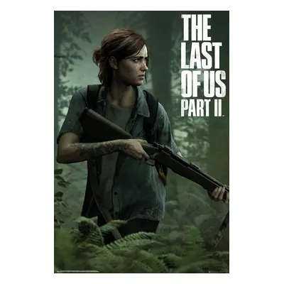 The Last Of Us 2 - Ellie plakát vícebarevný