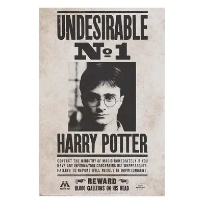 Harry Potter Undesirable No.1 plakát vícebarevný