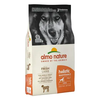 Almo Nature Holistic Maintenance L - Jehně a rýže 12kg