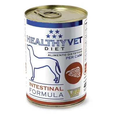 HEALTHYVET DIET dog Intestinal - podpora trávení a slinivky 400 g exp 02/2024 SLEVA 50%