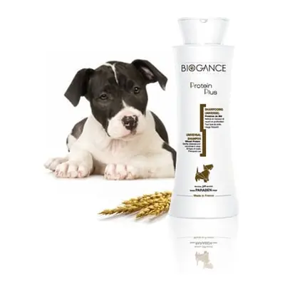 Biogance šampón Protein Plus 250ml