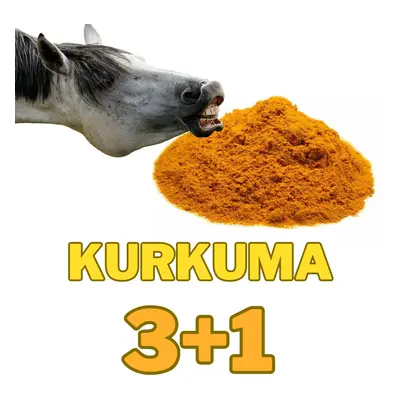 Kurkuma mletá 1 kg 3+1 ZDARMA (Cena je celkem za 4 kg !)