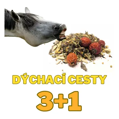 Bylinky na dýchací cesty 1kg 3+1 ZDARMA (Cena je celkem za 4 kg !)