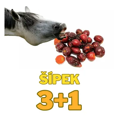 Šípek plod celý 3+1kg ZDARMA (Cena je celkem za 4kg !)