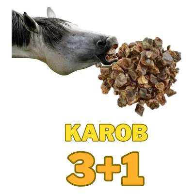 Karob 3+1kg ZDARMA (cena celkem za 4 kg !)