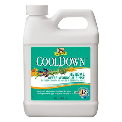 Absorbine Cool down (Absorbine Cool down, chladivá koupel po práci na bolavé svaly, láhev 946 ml