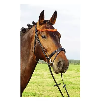 Uzdečka Amber German Riding Duo