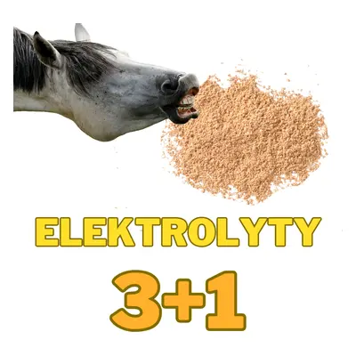 Elektrolyty prášek 1 kg 3+1 ZDARMA (Doplnění elektrolytů v zátěži, celkem dostanete 4 kg)