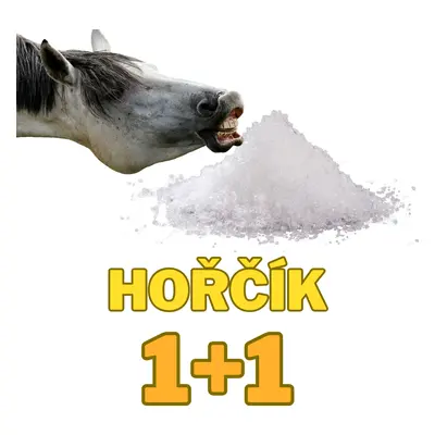 Organický hořčík 1 kg AKCE 1+1 ZDARMA (Magnesium proti stresu, celkem obdržíte 2 kg hořčíku)