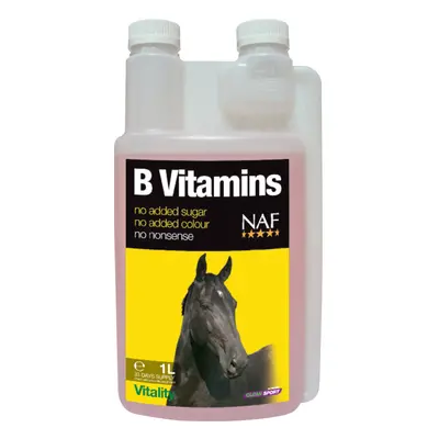 B vitamins pro soustředěnost a vitalitu koní (NAF B vitamins, vitamíny skupiny B pro soustředěno