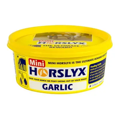 Horslyx vitamínový liz GARLIC česnekový