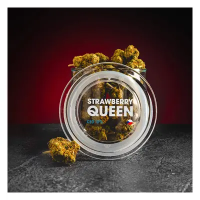 Kratom World CBD Strawberry Queen 10% 2g